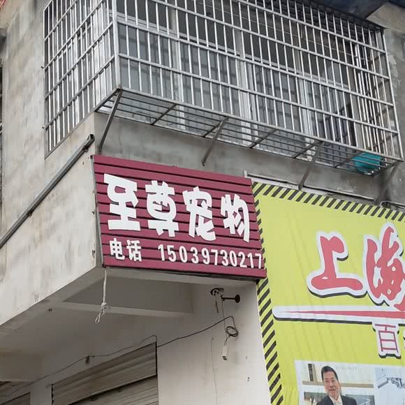 至尊宠物:信阳市固始县