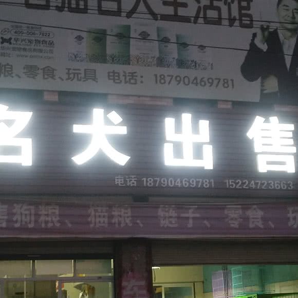 辉凡犬舍:信阳市固始县