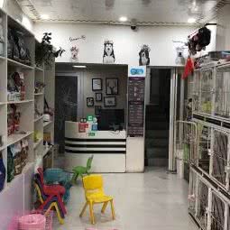 大邱犬业宠物店:信阳市潢川县