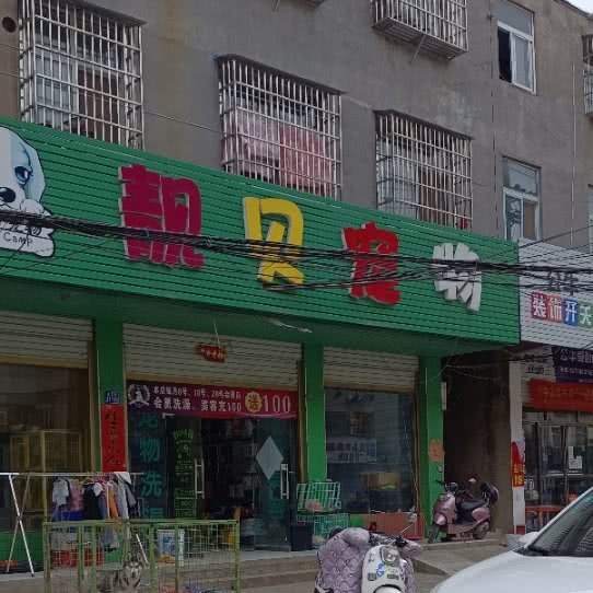 靓贝宠物生活馆:信阳市淮滨县