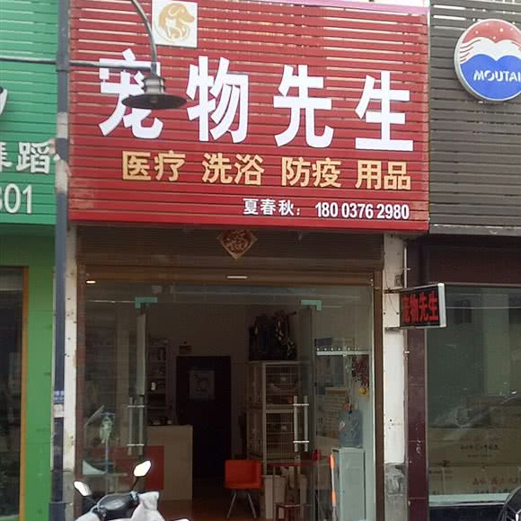 宠物先生:信阳市息县