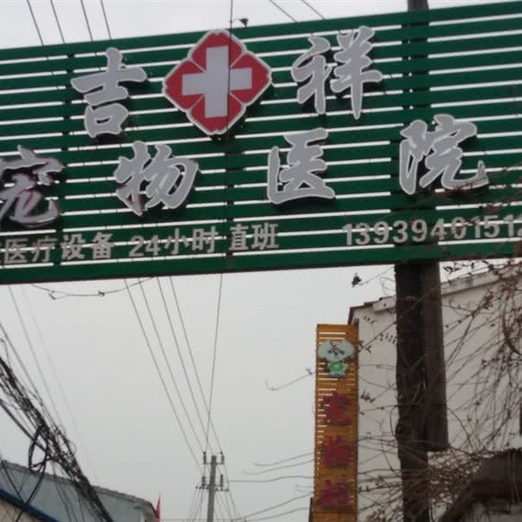吉祥宠物医院:周口市扶沟县