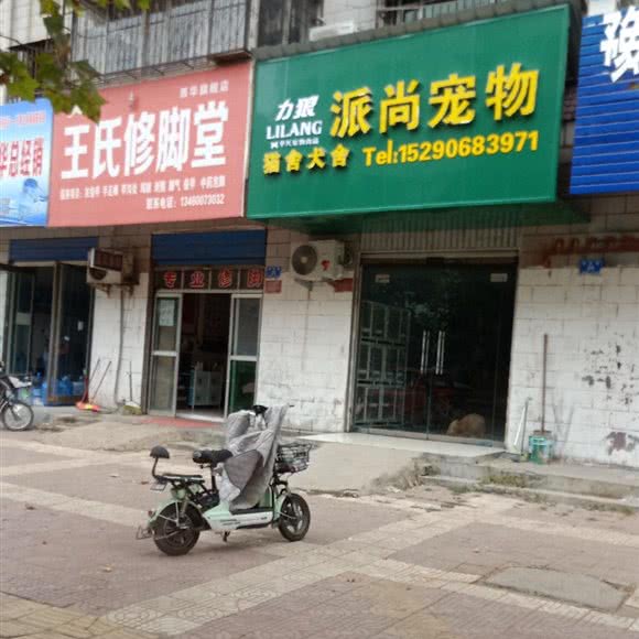 派尚宠物:周口市西华县