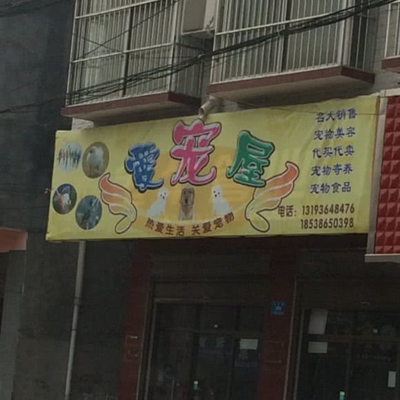 爱宠物:周口市西华县