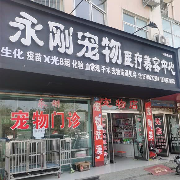 永刚宠物医疗美容中心(公园路总店):周口市商水县