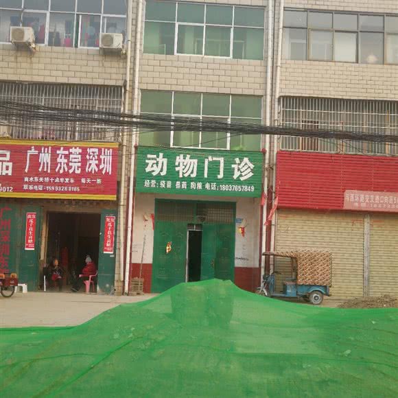 动物门诊:周口市商水县