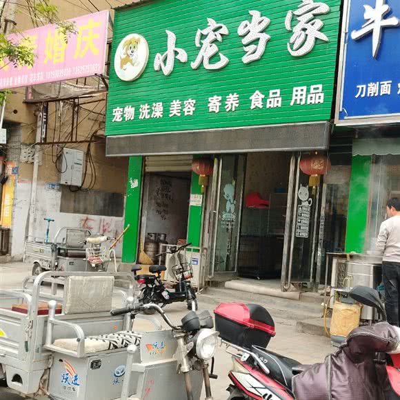 小宠当家:周口市沈丘县