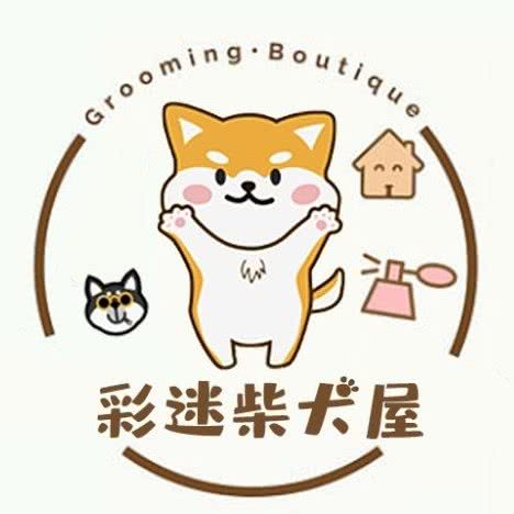 彩迷柴犬屋:北京城区朝阳区高碑店附近