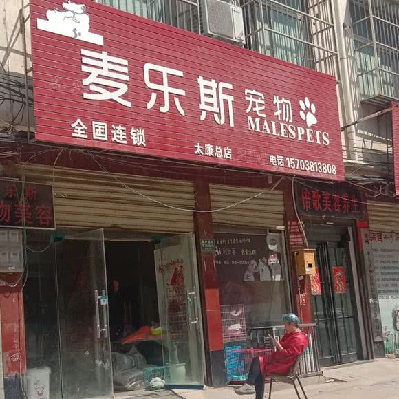 麦乐斯宠物(太康总店):周口市太康县
