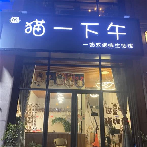 猫一下午  一站式猫咪生活馆:周口市太康县
