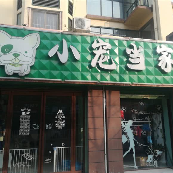 小宠当家:周口市鹿邑县