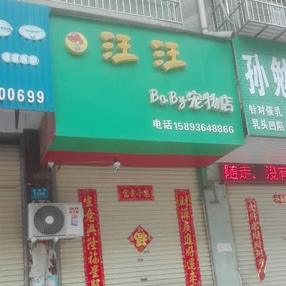 汪汪BaBy咖啡店:周口市鹿邑县