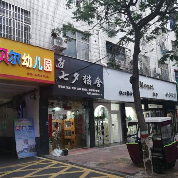 七夕猫舍:周口市鹿邑县