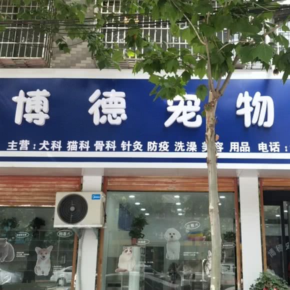 博德宠物医院:周口市鹿邑县