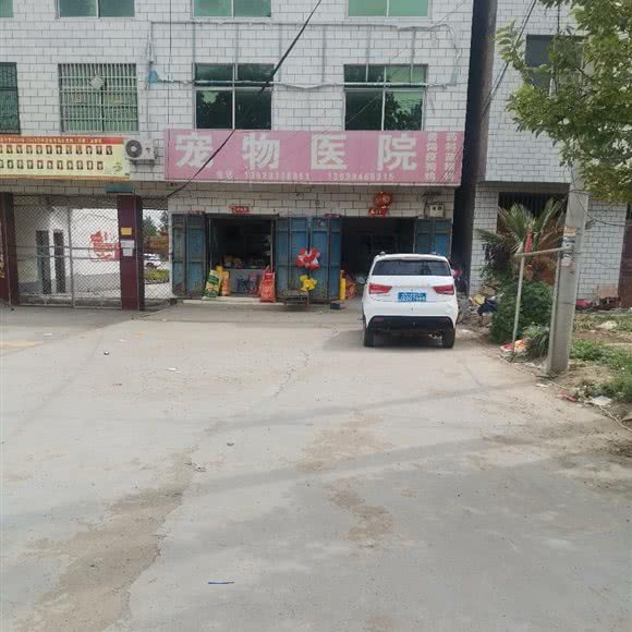 宠物医院:周口市鹿邑县