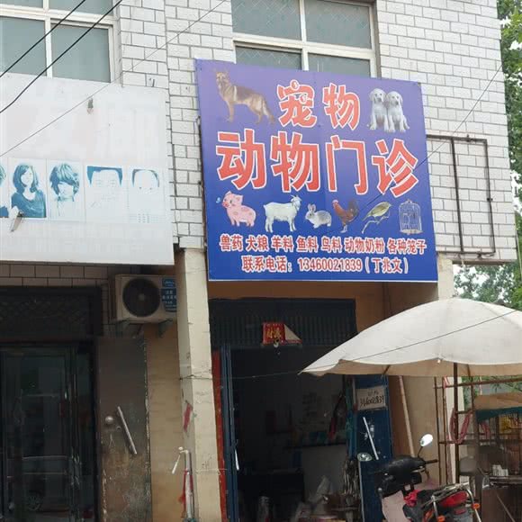 宠物动物门诊:周口市鹿邑县