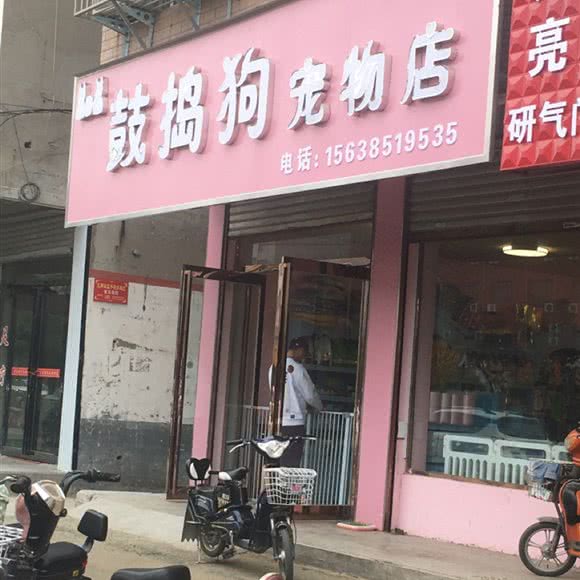 鼓捣狗宠物店:周口市项城市