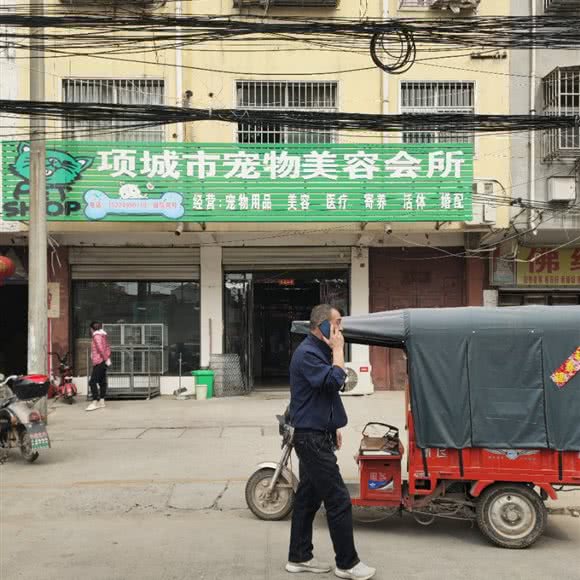 项城市宠物美容会所:周口市项城市