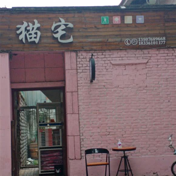 猫宅·宠物互动猫咖·猫咪售卖乐园:周口市项城市