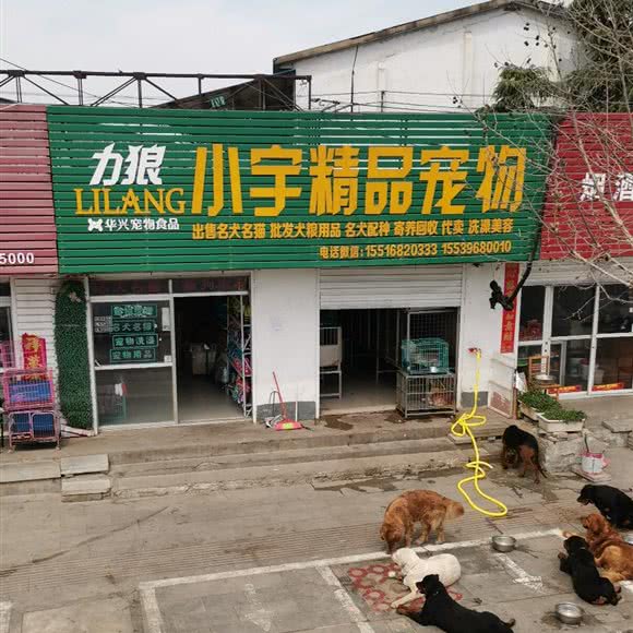 小宇精品宠物店:驻马店市驿城区