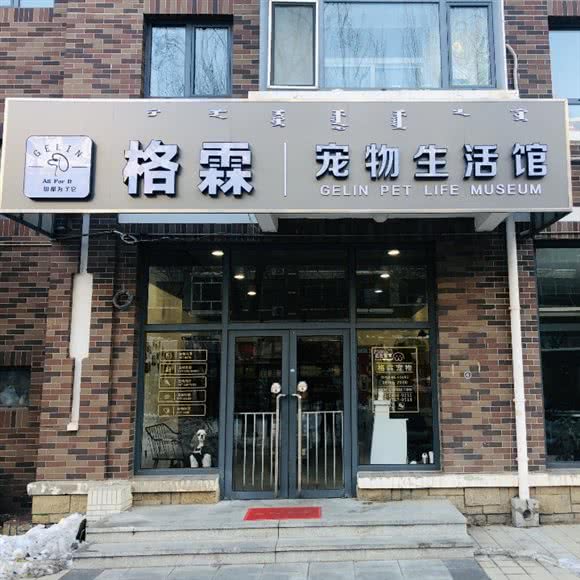 格霖宠物生活馆:赤峰市松山区水榭花都附近