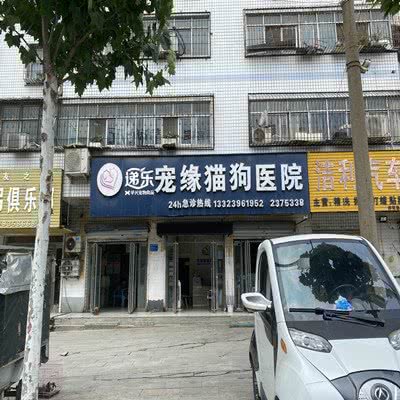 宠缘猫狗医院:驻马店市驿城区