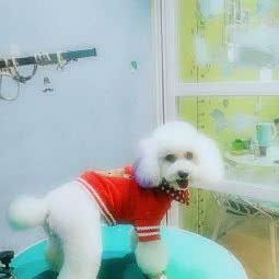 宠爱之十家:驻马店市上蔡县