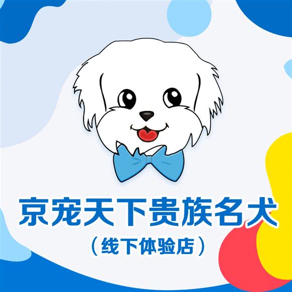 京宠天下贵族比熊体验馆:北京城区朝阳区高碑店附近
