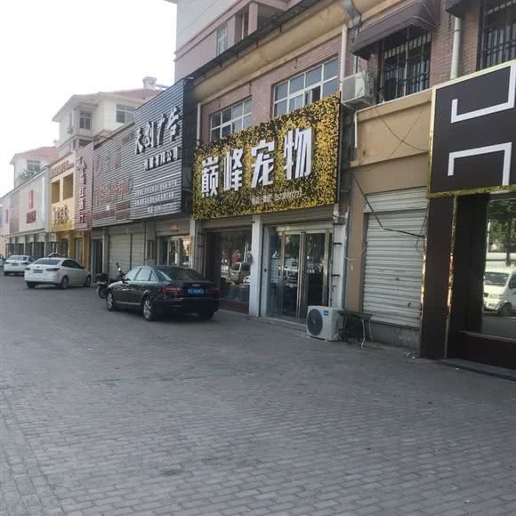 巅峰宠物:驻马店市平舆县