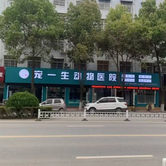 宠一生宠物医院:驻马店市平舆县