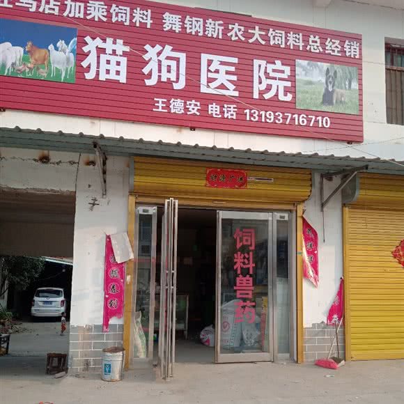 猫狗医院:驻马店市平舆县