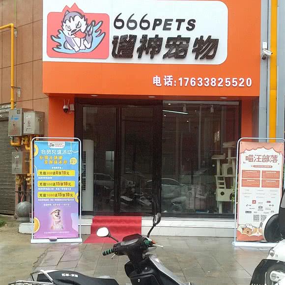 遛神宠物:驻马店市泌阳县