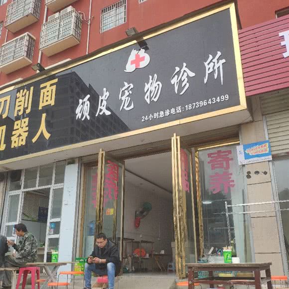 顽皮宠物诊所:驻马店市汝南县