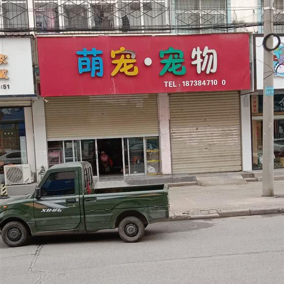 萌宠·宠物:驻马店市遂平县