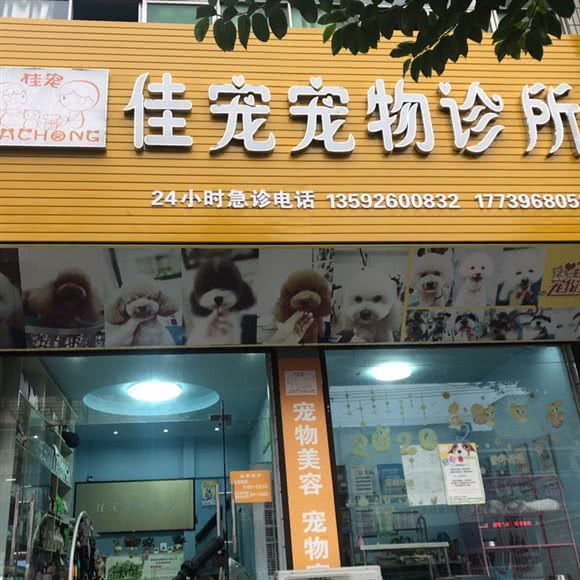 佳宠宠物诊所:驻马店市新蔡县