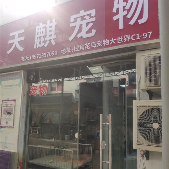 天麒宠物:武汉市江岸区