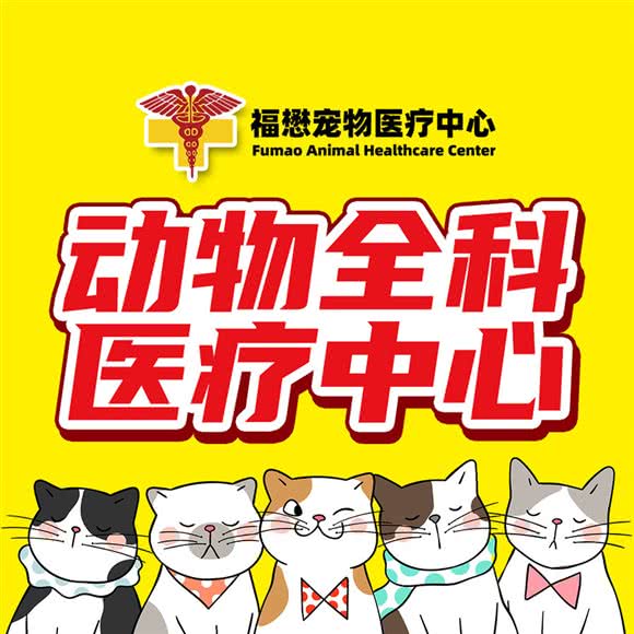 福懋动物诊所(香港路分院):武汉市江岸区