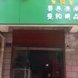 宠爱一生:武汉市东西湖区