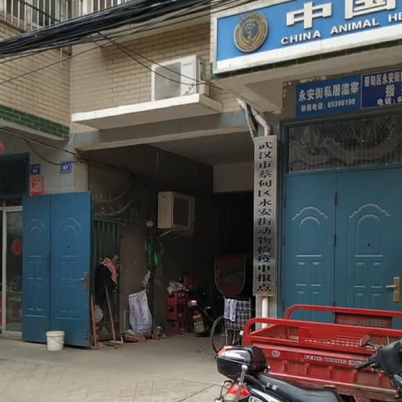 蔡甸区永安动物检疫申报点:武汉市蔡甸区
