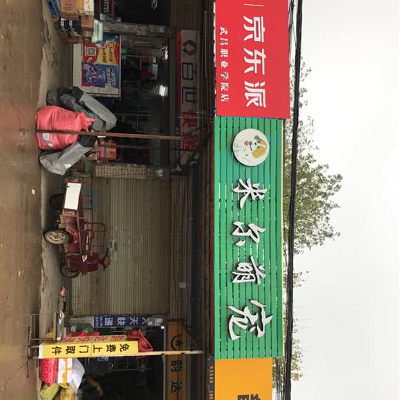 米尔萌宠:武汉市江夏区