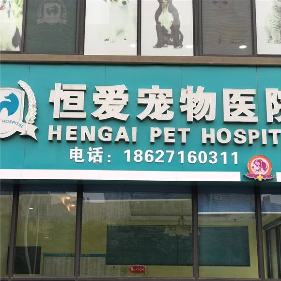 恒爱宠物医院:武汉市江夏区