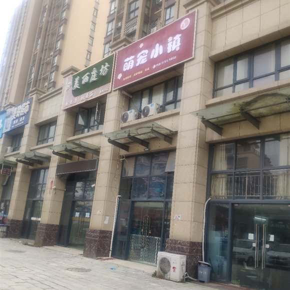 萌宠小镇:武汉市黄陂区