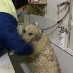 派多格面包店:武汉市黄陂区