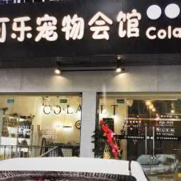 可乐宠物会馆:武汉市黄陂区