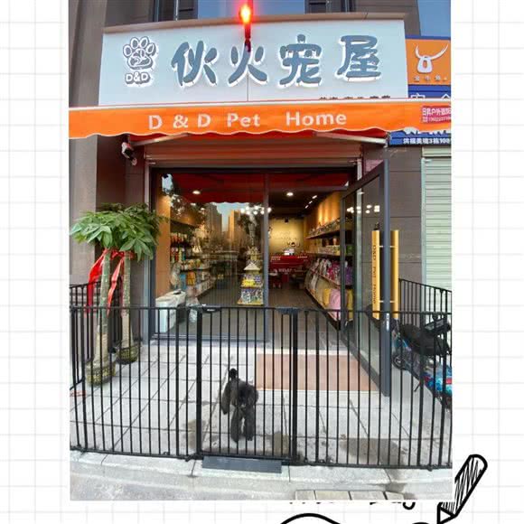D&D伙火宠屋宠物:武汉市黄陂区