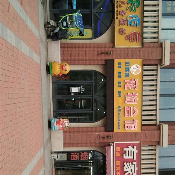 叮咚咚宠物会馆:武汉市黄陂区