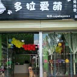 多拉爱萌宠物:武汉市黄陂区