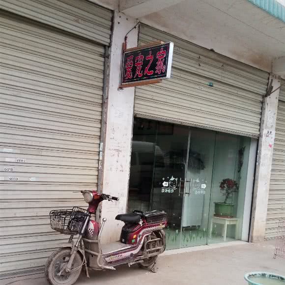 爱宠之家:武汉市黄陂区