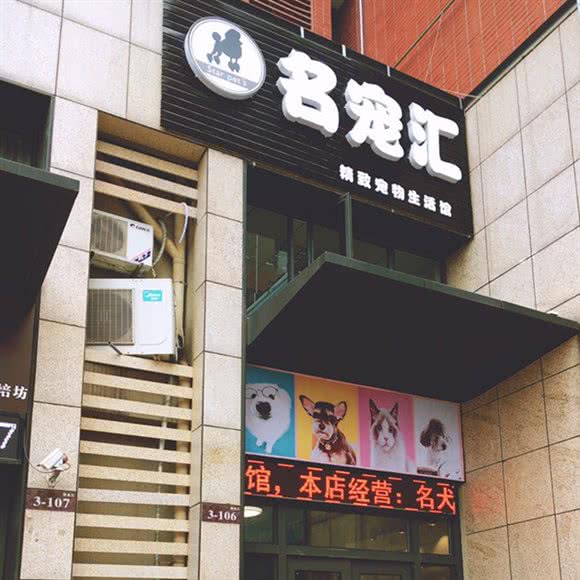 名宠汇精致宠物生活馆:武汉市黄陂区