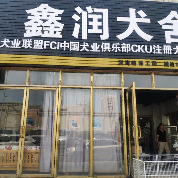 鑫润犬舍:武汉市黄陂区